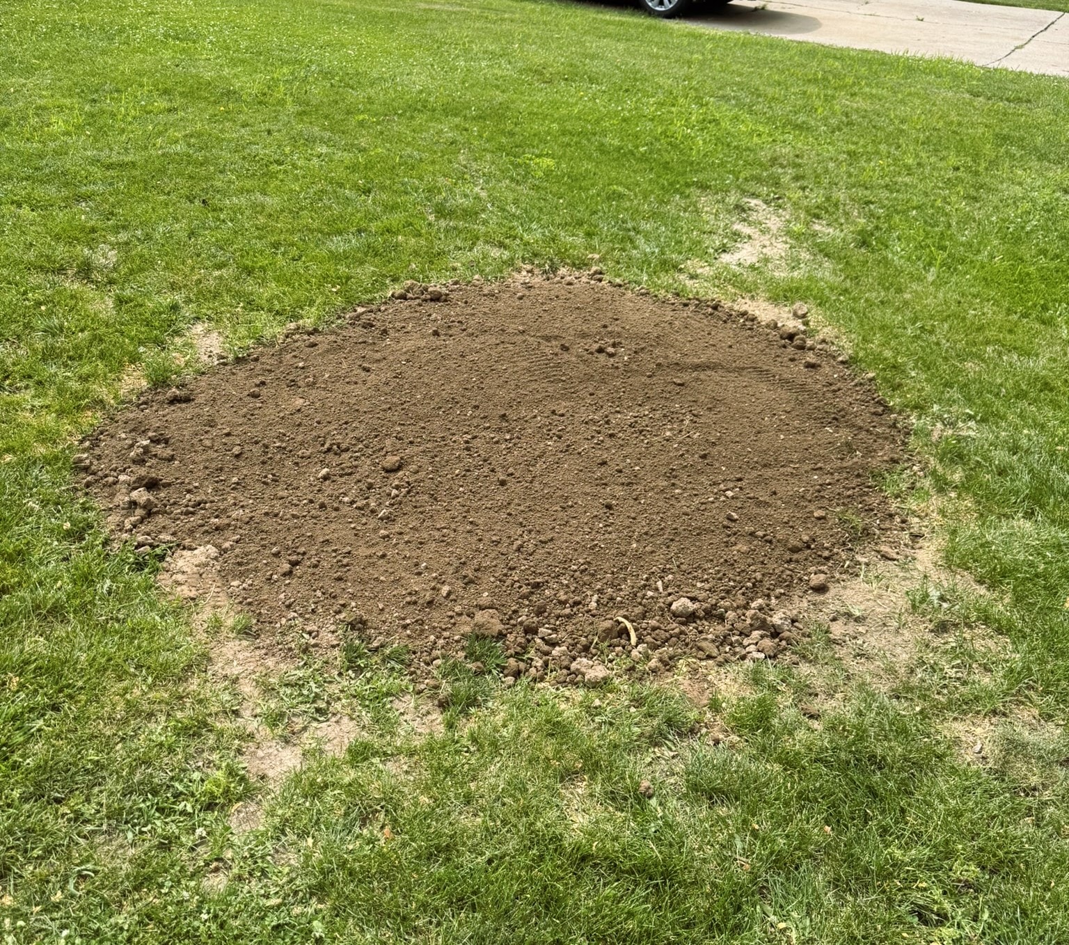 After stump removal — clean, flat, cleared yard