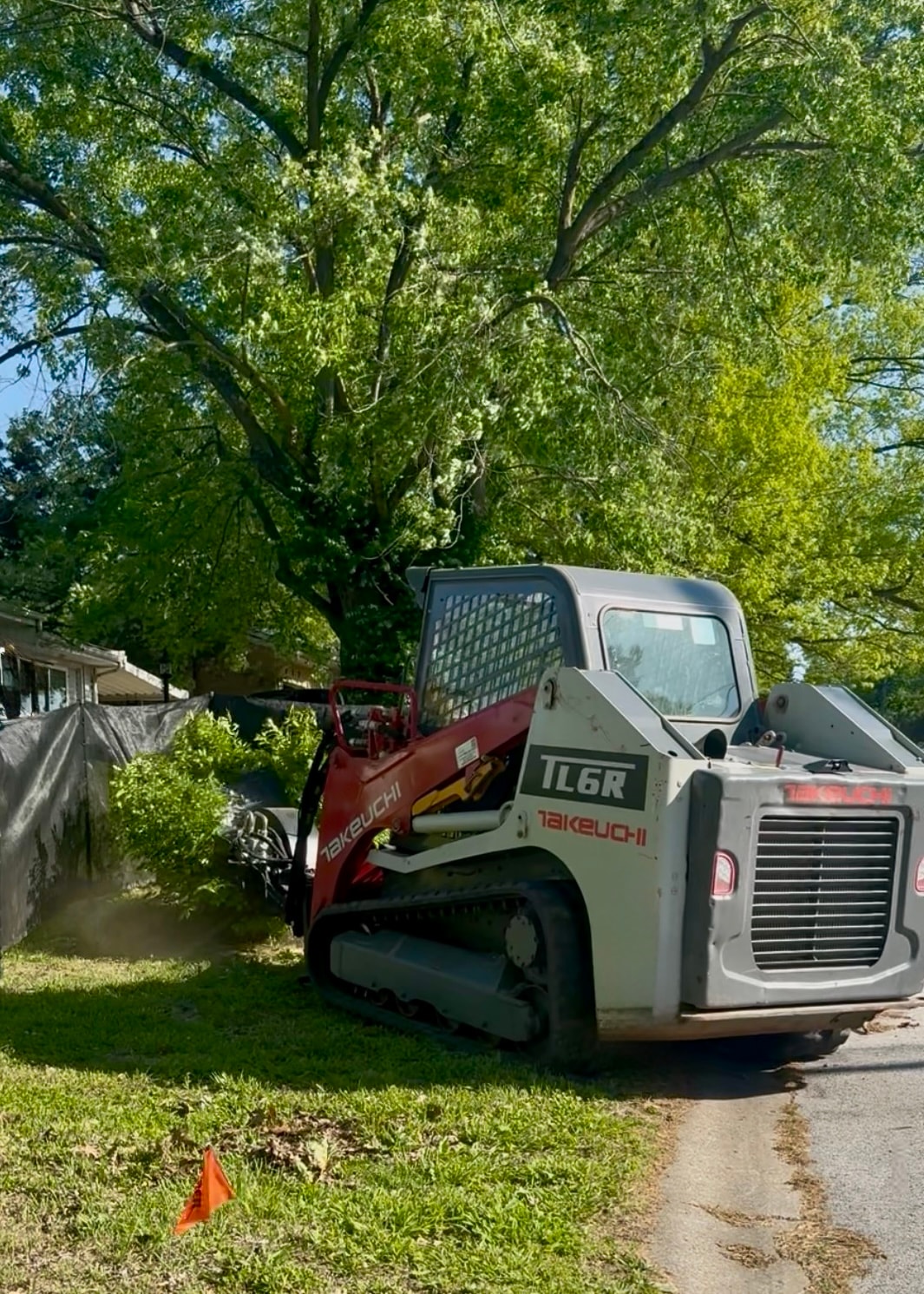 Brush Removal